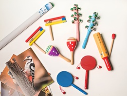 Комплект шумовых музыкальных инструментов - fgospostavki.ru - Одинцово