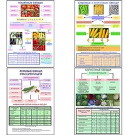 Плакаты ПРОФТЕХ "Классификация овощей" (11 пл, винил, 70х100) - fgospostavki.ru - Одинцово