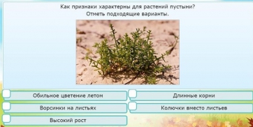 Интерактивные курсы. Окружающий мир 3 класс . Базовый. - fgospostavki.ru - Одинцово