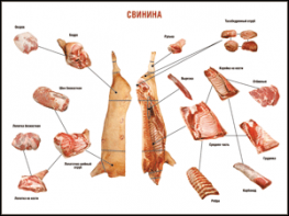 Таблица "Правила разделки мясных туш. Свинина" (100х140 сантиметров. винил) - fgospostavki.ru - Одинцово